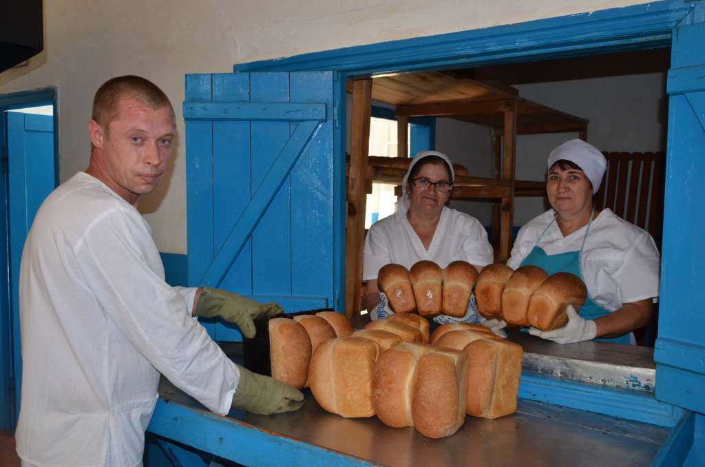 Ооо сегодня. Сельхозпродукты Зарайск. Заготовитель сельхозпродуктов. Сельхозпродукты Назарово. Сельхозпродукты Балахна.