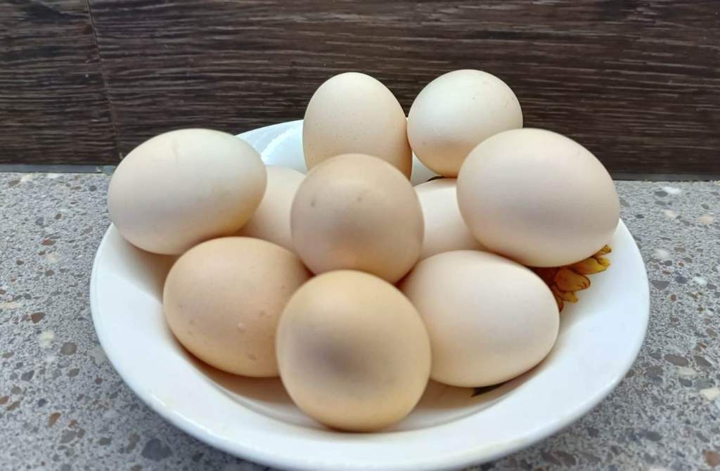 Купить яйцо ростовская область